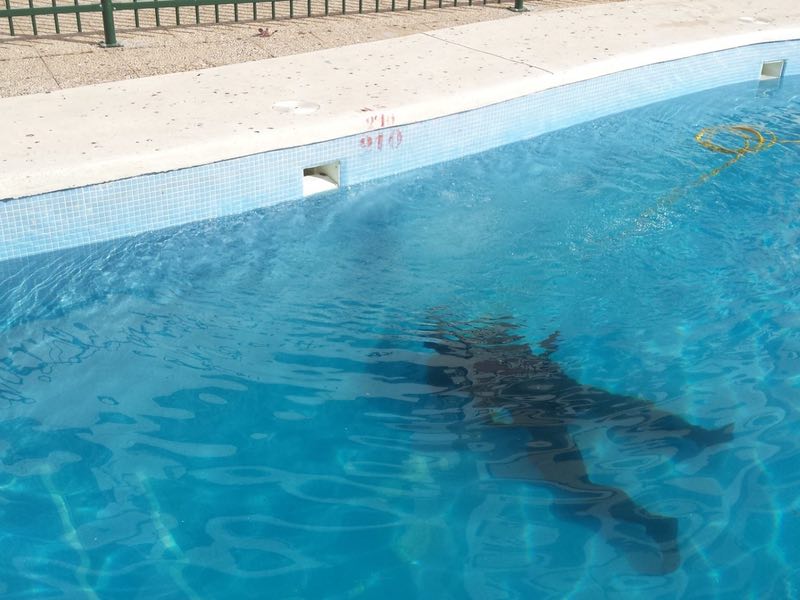 Localización de fugas de agua en piscinas Cádiz